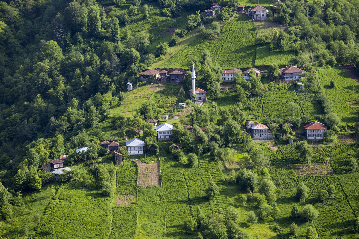 Rural development